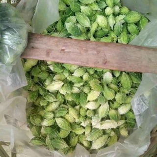 Mướp đắng rừng phơi khô.(trái khổ qua phơi khô)