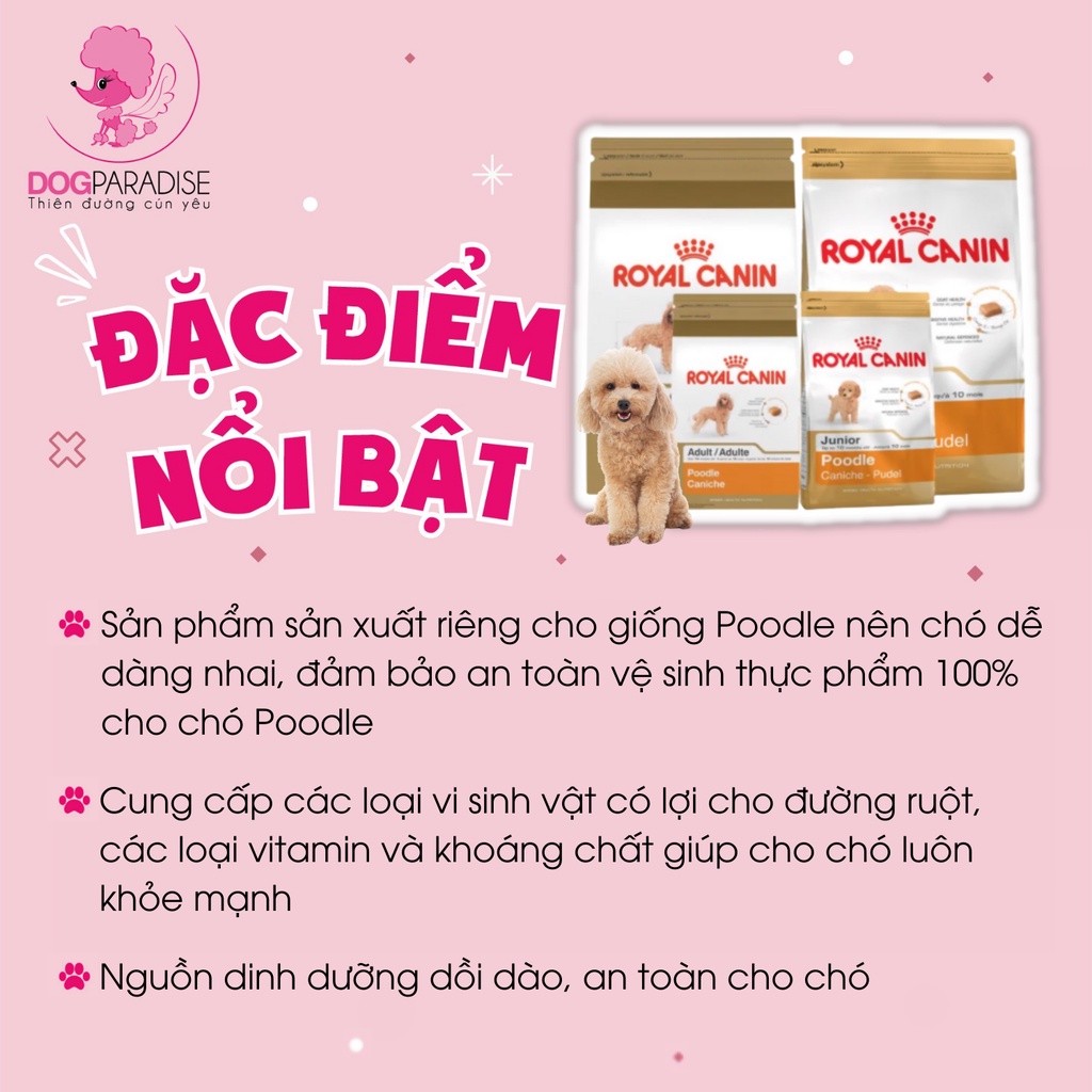 Thức ăn hạt Royal Canin cho chó Poodle tốt cho hệ tiêu hóa đường ruột túi 500g và 1.5kg - Dog Paradise