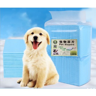Miếng lót vệ sinh siêu thấm dành siêu hút cho cún