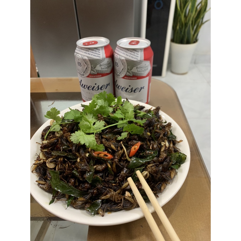 Trứng dế mèn Thái vàng