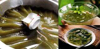 Bột thạch lá găng loại 1- gói 100g, thạch xanh, tặng công thức