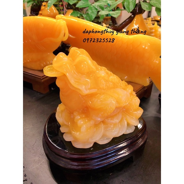 Thiềm Thừ Đá Ngọc Hoàng Long Phong Thuỷ