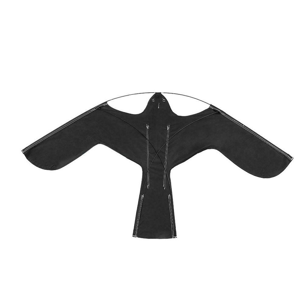 Diều Đuổi Chim Hình Diều Hâu Tây
