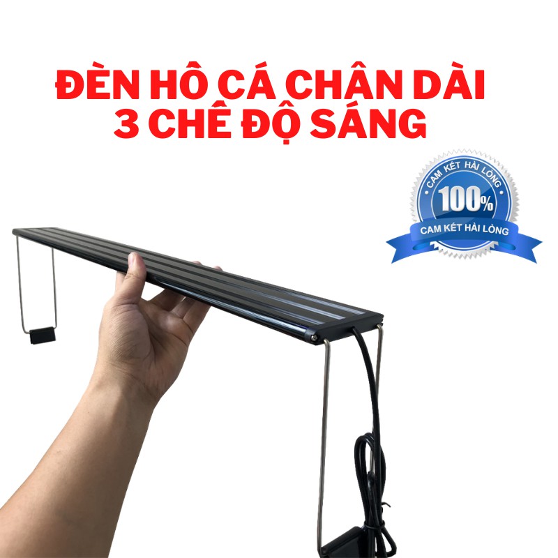 Đèn bể cá ĐỔI MÀU CHÂN CAO dành cho hồ cá hồ thuỷ sinh