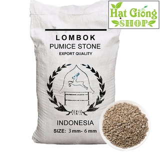 Đá Pumice-Đá bọt núi lửa - ( túi 1-kg)