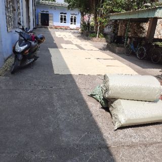 Chiếu Cói 80×1m9cm May Mép