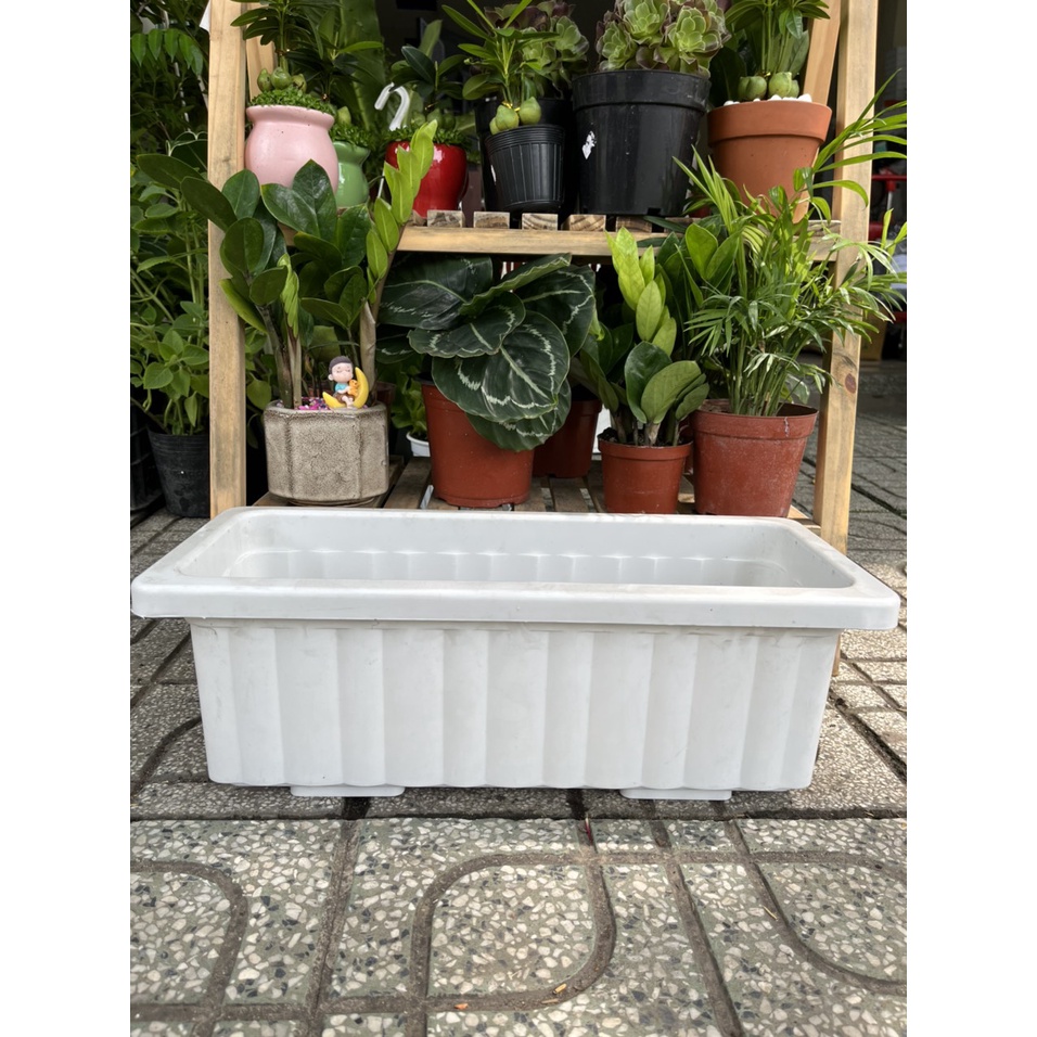 Chậu dài nhựa mini 48x20 phù hợp ban công nhỏ xinh, trồng được các loại hoa và rau