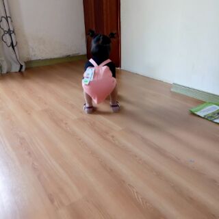 Váy yếm zaza(tuanhF)