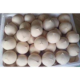 Dừa xiêm trọc - size 400gr trở lên