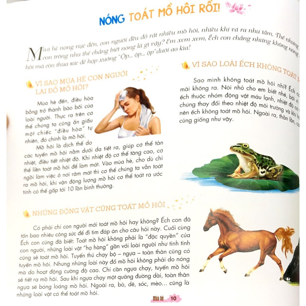 Sách Minh Long - Em Yêu Thiên Nhiên Bốn Mùa – Mùa Hè : Ếch Kêu Râm Ran
