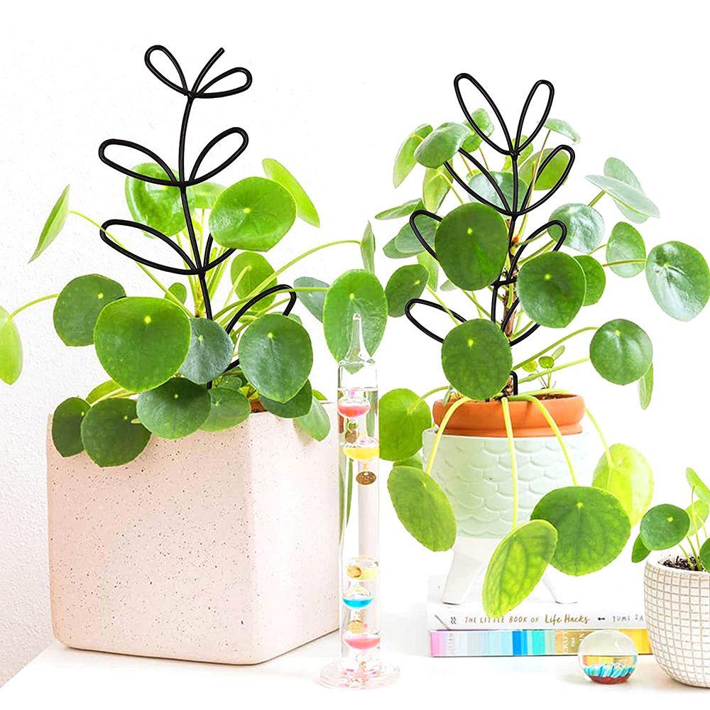 Giá Đỡ Trồng Cây Dây Leo Bằng Kim Loại Chống Rỉ