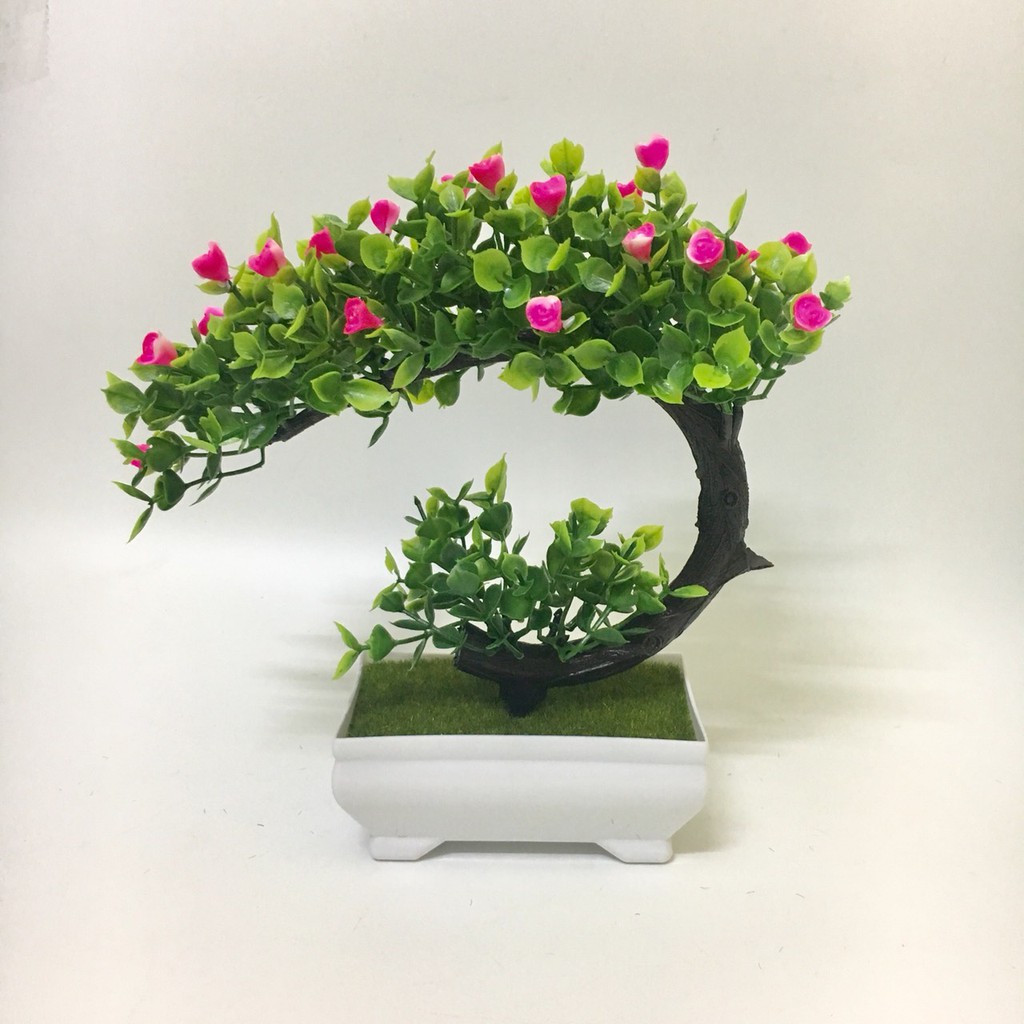 Cây bonsai phú quý tài lộc - Cây bon sai giả để bàn trang trí  Để nội thất, phòng làm việc ( kèm chậu nhựa)