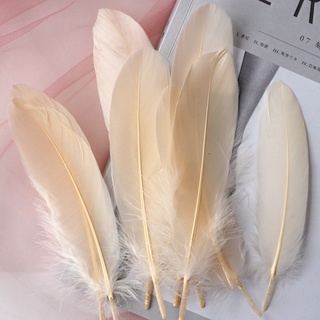 [kt : 12-17cm ] Lông cánh đủ màu