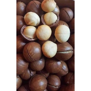 HẠT MACCA ĐẮC LẮC 500gr (1 Bịch)