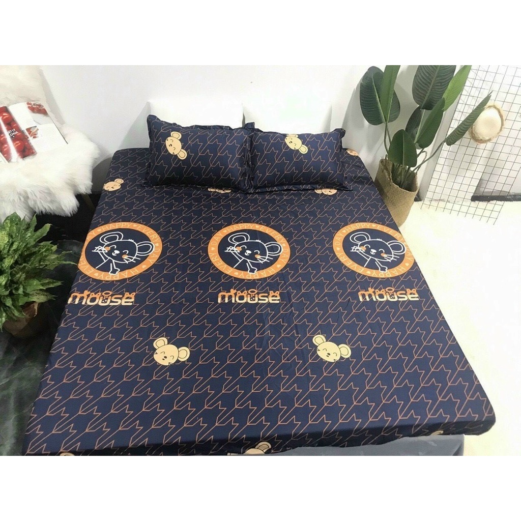 Set Chăn Hè Cotton Poly 5 Món Cao Cấp Chần 3 Lớp