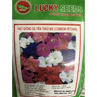 Hạt giống Dạ Yến Thảo mix CH 🌷