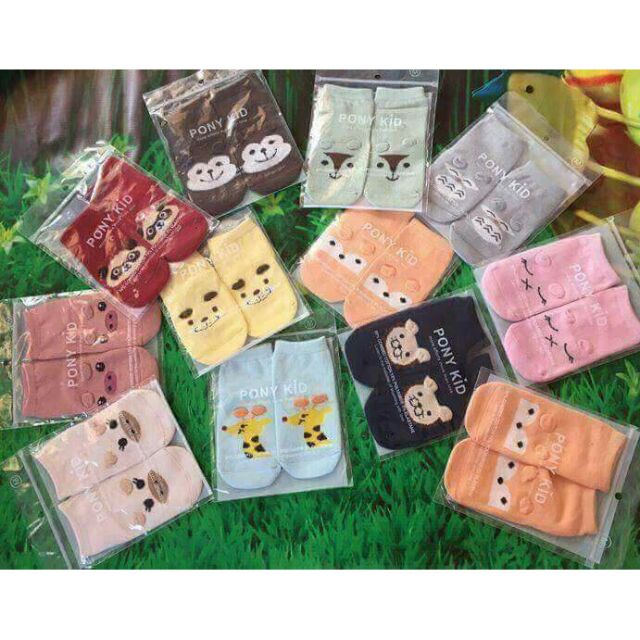 COMBO 10 tất pony