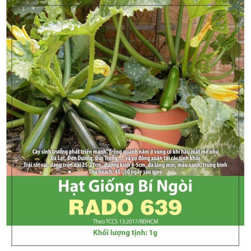 Hạt giống Bí Ngòi xanh- Hạt chất lượng_ Gói 10gr