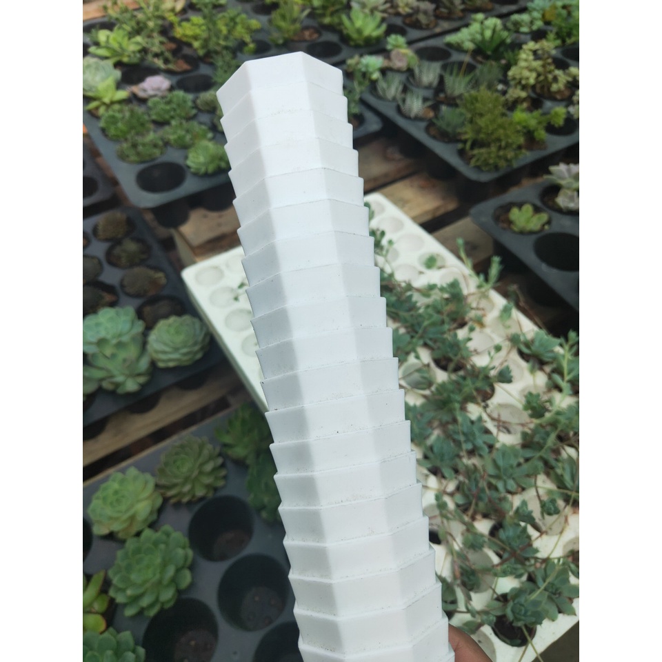 (FREESHIP) Combo 10 Chậu nhựa trồng sen đá, xương rồng  - 6x4cm - Mỏng - Dẻo