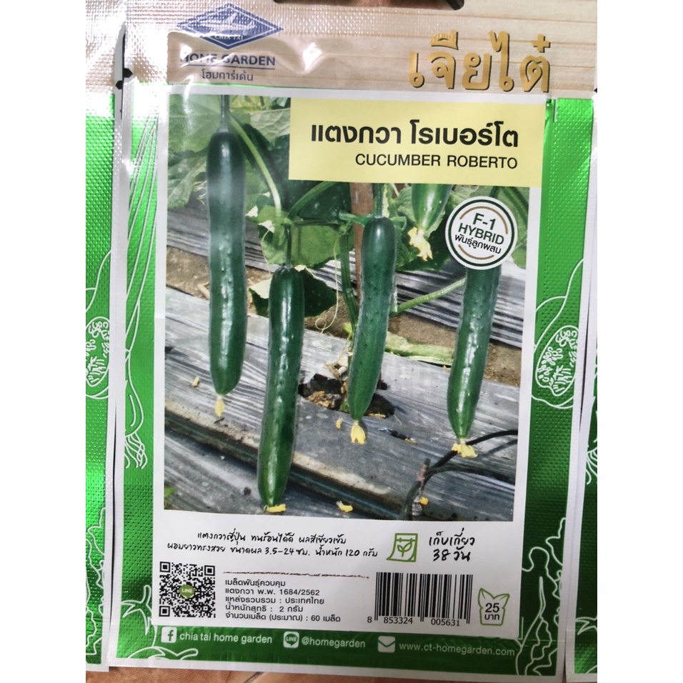 hạt giống dưa leo f1 nhập khẩu thái lan nguyên bao bì