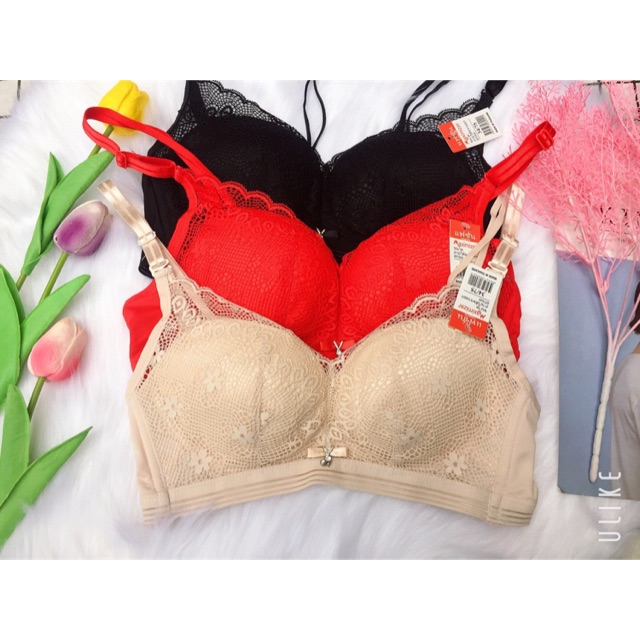 Áo ngực ko gọng ren mút dày nâng ngực 234