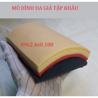 Mô hình tập khâu da