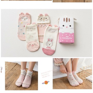 Combo 4 vớ Caramella cổ ngắn tai thỏ xinh cho nữ