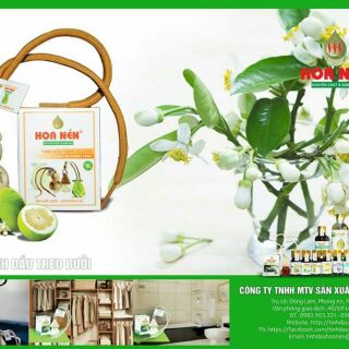 Tinh dầu treo xe ô tô / tủ quần áo/ treo phòng – Tinh dầu bưởi