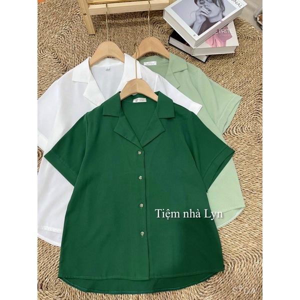 Áo sơmi cộc tay cổ vest dáng basic / Áo sơmi công sở nhiều màu