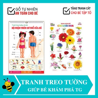 Lịch treo tường💕 FREESHIP Từ 250K💕 Bộ Tranh Treo tường cho bé về thế giới xung quanh