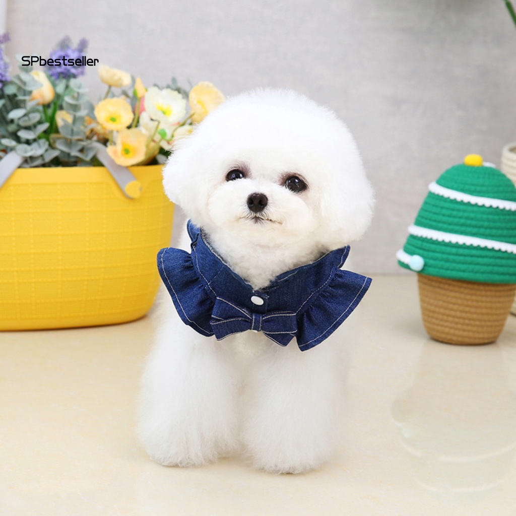 Đầm Tay Phồng Thêu Chữ Có Dây Dắt Dắt Thời Trang Mùa Hè Cho Thú Cưng