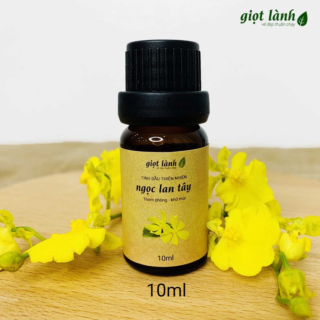 Tinh dầu Ngọc Lan Tây nguyên chất – Thư giãn, thơm phòng Giọt Lành 10ml - 50ml