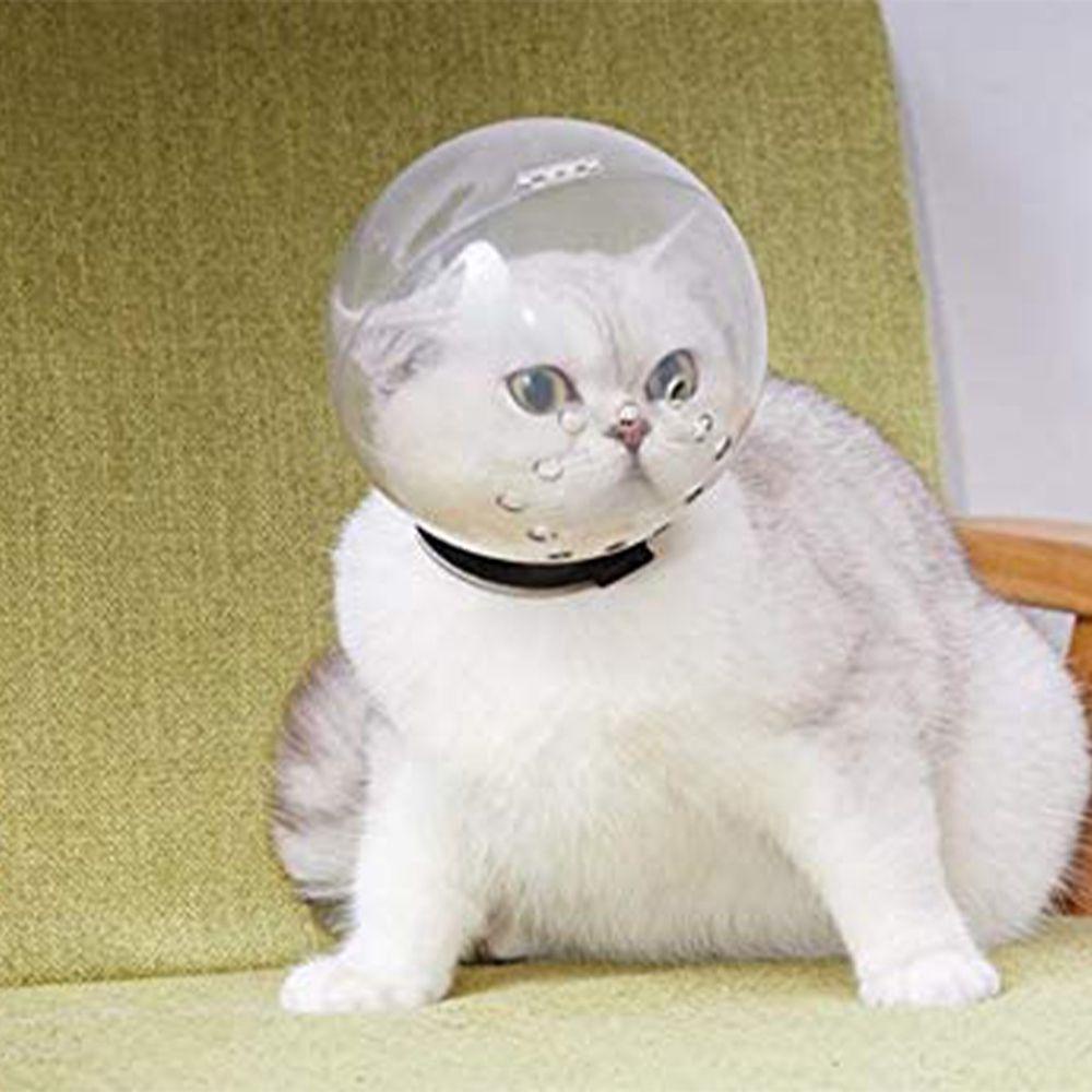 [COD] Mặt Nạ Elizabethan Chống Thấm Nước Bảo Vệ Cổ Cho Thú Cưng