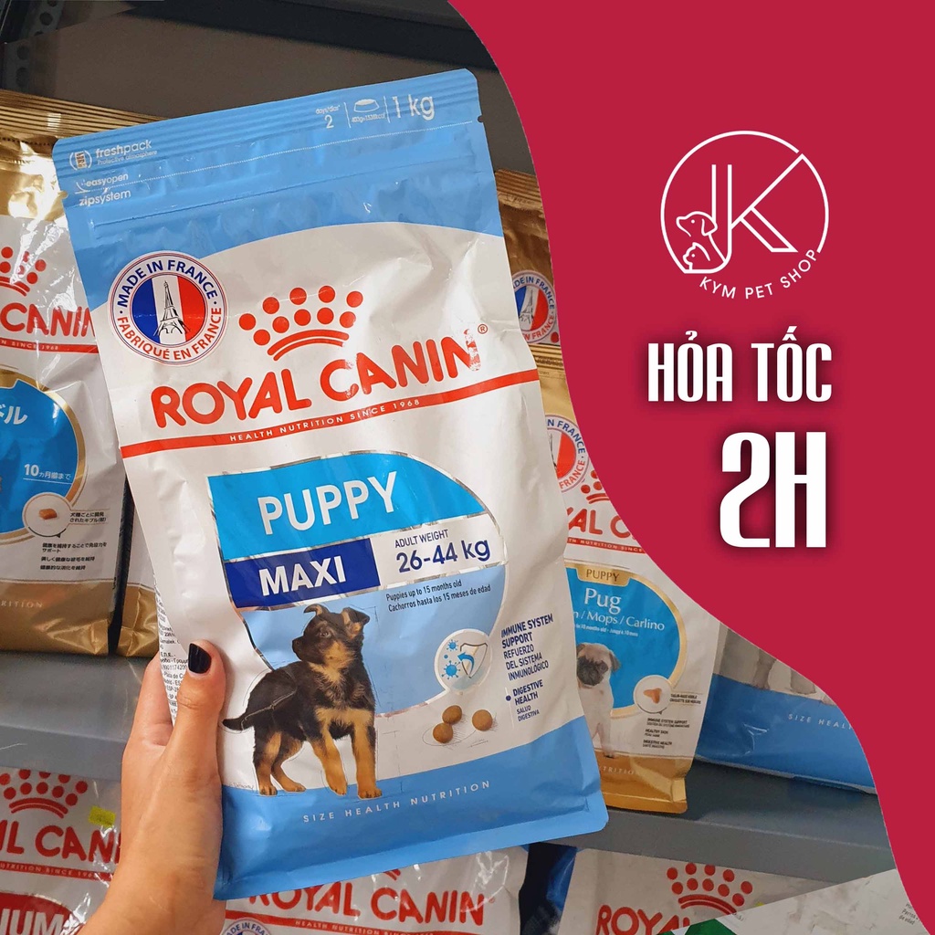 ROYAL CANIN MAXI - Thức ăn hạt khô cho chó kích cỡ Maxi (Cân nặng từ 26 - 44kg)