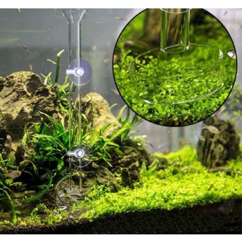 Bộ ống thủy tinh cho tép ăn - ống tép thủy sinh