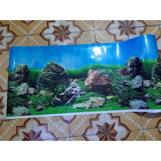 Tranh dán bể cá 1m