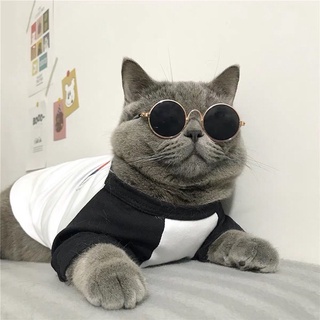 KÍNH MÁT ĐEN CHO CHÓ MÈO