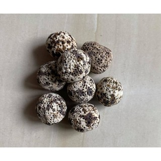 Sứ Bi Muối Tiêu 100Gr