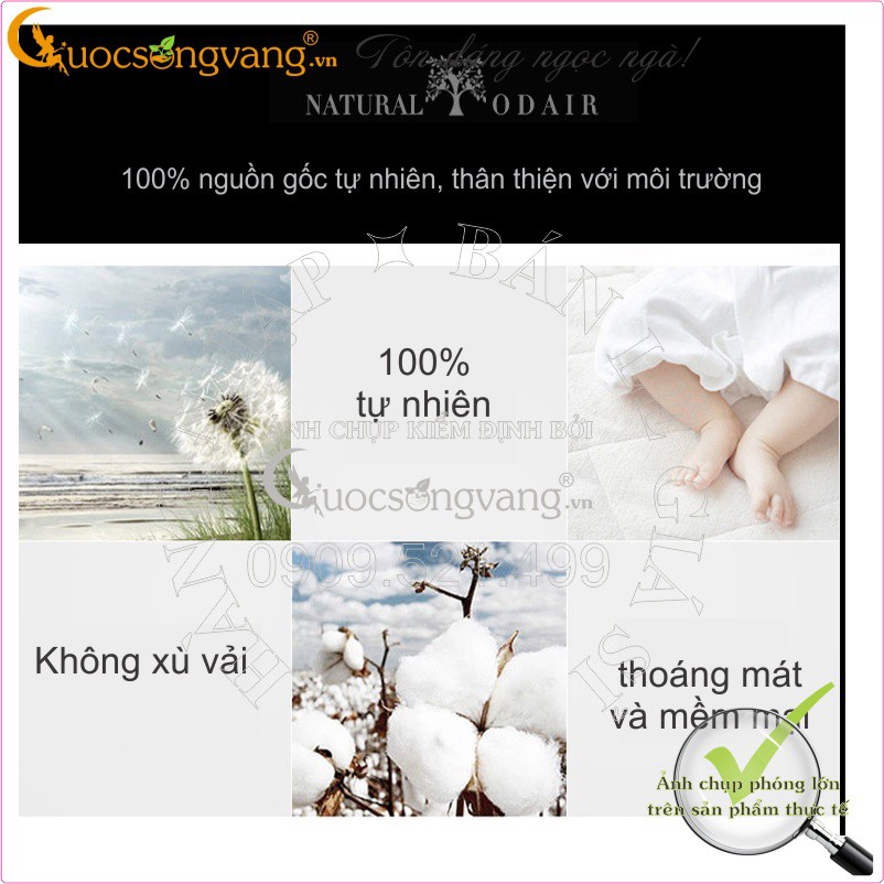 Áo nam áo thun nam cổ tròn in GLA040 cotton co giãn Cuocsongvang