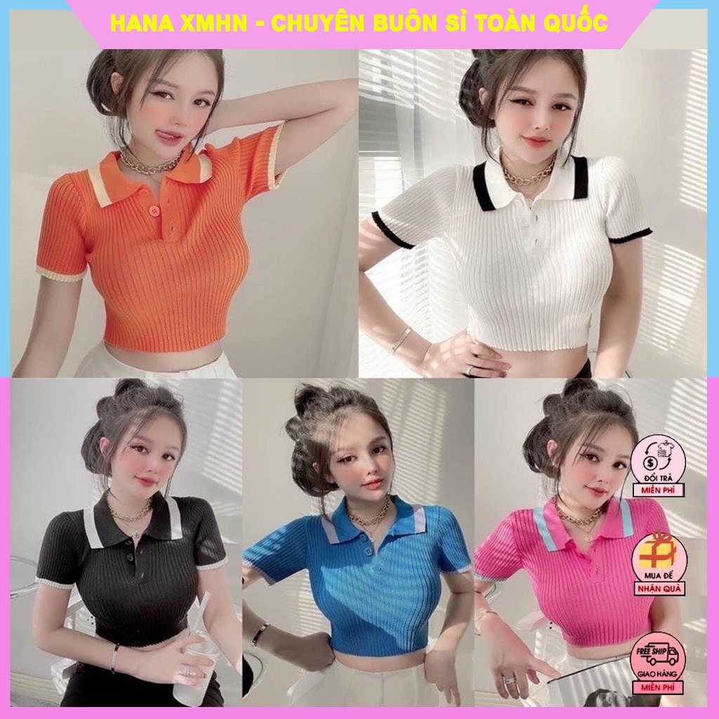 Croptop Nữ Cổ Đức Motoghi, Áo Polo Nữ Hàng Quảng Châu Loại 1