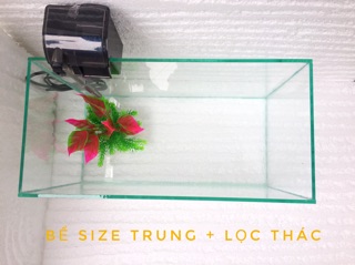 Bể cá size trung