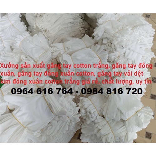 Găng tay vải cotton trắng dùng cho lễ tân, diễu binh, ngành điện tử siêu co giãn tiện dụng