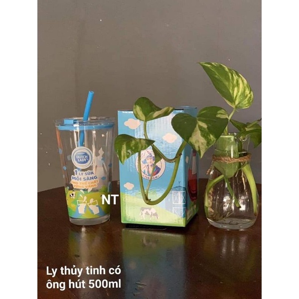 Ly Thủy Tinh Cô gái Hà Lan 500ml