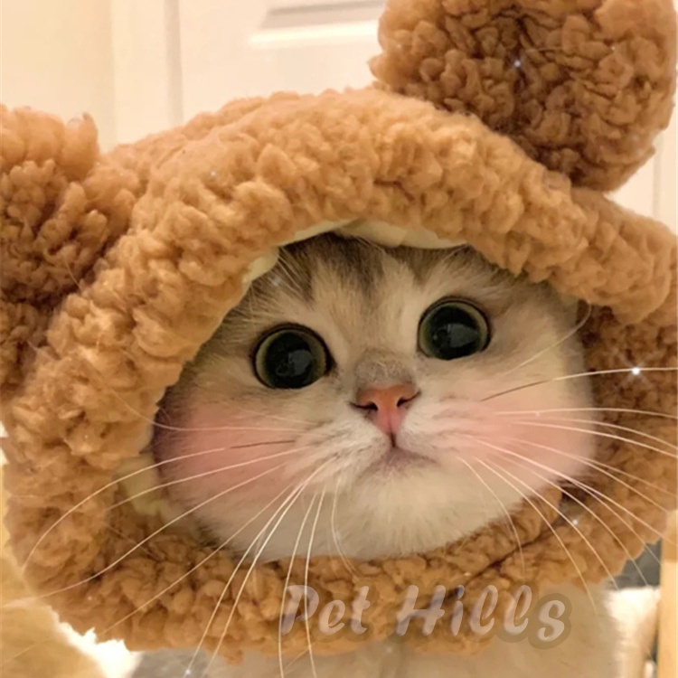 Nón tai gấu cho mèo - Mũ cosplay gấu chất liệu lông cừu mềm mại cho thú cưng