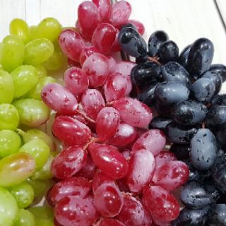 Chùm nho mỹ giả