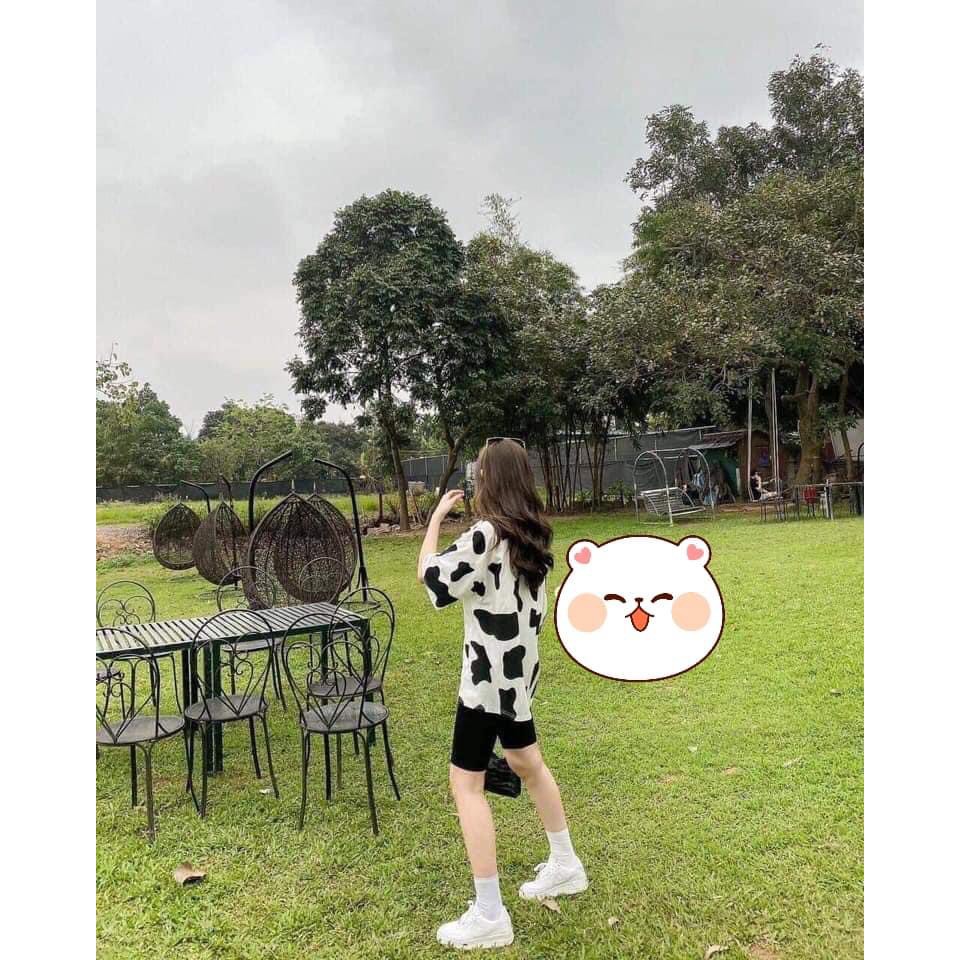 Sét áo phông bò sữa + quần legging ngố HARI0421 | BigBuy360 - bigbuy360.vn