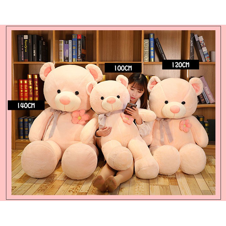 Thú nhồi bông, Gấu bông teddy đeo nơ xinh xắn cỡ lớn