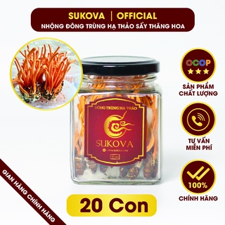 Nhộng Đông Trùng Hạ Thảo Sukova chính hãng, Hộp 20 con sấy thăng hoa, Tiêu chuẩn ISO, OCOP đủ giấy tờ