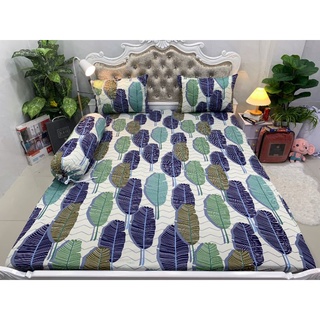 BỘ DRAP THUN HÀN QUÔC