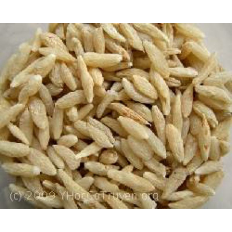 Mạch môn, mạch môn đông ,củ tóc tiên